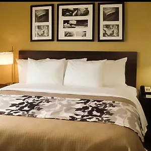 The Vue Brooklyn Hotel New York